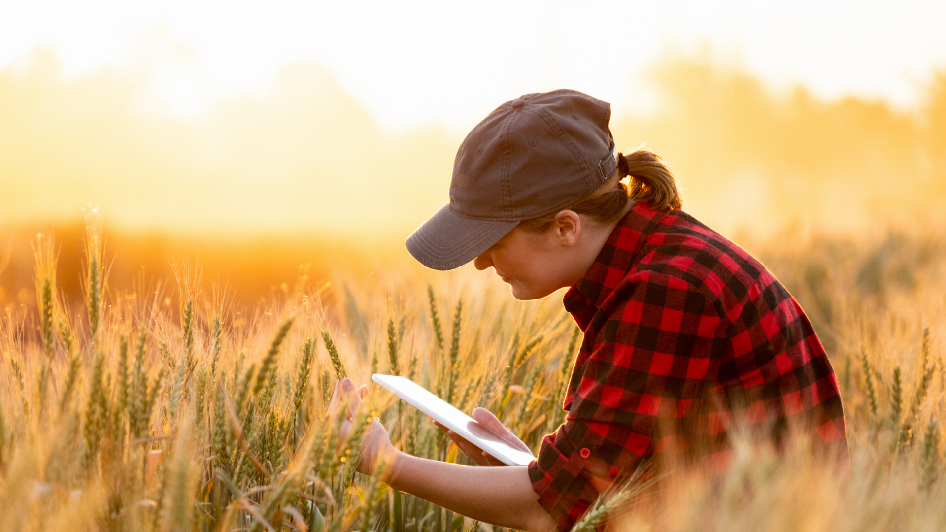 Single frauen landwirtschaft